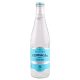TEHUACAN MINERAL WATER 24/ 12 OZ