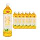 VISVITA ALOEVERA MANGO 12/ 1.5 LTR